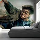 Harry Potter 7 Wallpaper