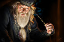 Professor Albus Dumbledore Wallpaper