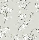 Omega Cherry Blossom Wallpaper