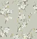 Omega Cherry Blossom Wallpaper