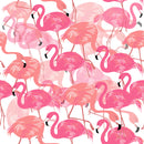Flamingos Wallpaper