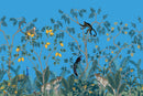 Monkey On Tree Art Self Adhesive Sticker For Refrigerator
