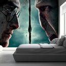 Harry & Voldermort Wallpaper
