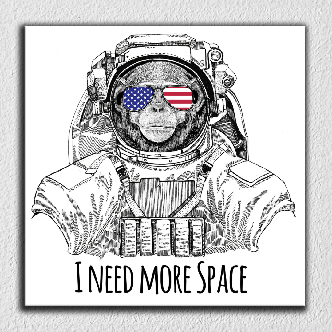 I Need More Space Monkey Art