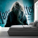 Albus Dumbledore Wallpaper