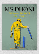 M S Dhoni Wicket Wall Art