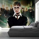 Harry Potter & Order Phoenix Wallpaper