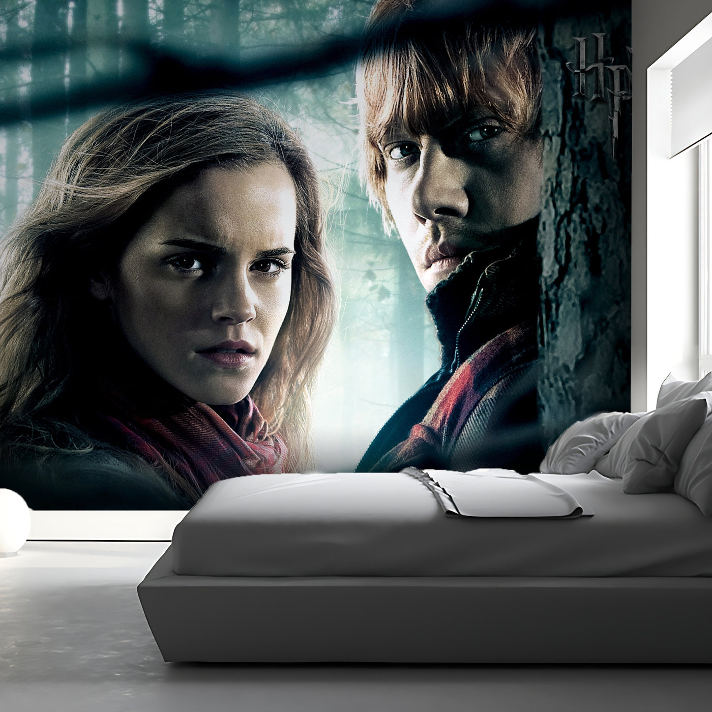 Hermione & Ron Wallpaper