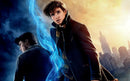 Fantastic Beasts Harry Potter Wallpaper