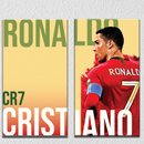 Football Wall Art 4, Set Of 2