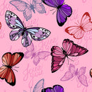 Multicolor Butterfly Wallpaper