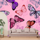 Multicolor Butterfly Wallpaper
