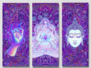 Psychedelic Buddha Enlightenment, Set Of 3