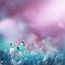 Beautiful Butterfly Art Self Adhesive Sticker For Refrigerator