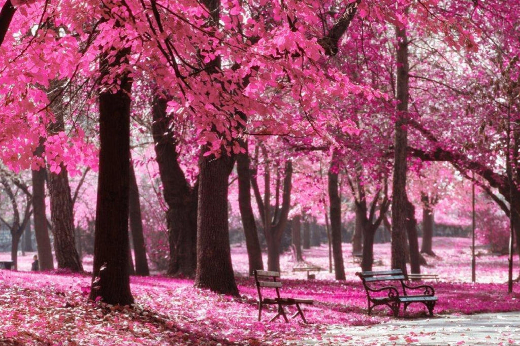 pink rainforest wallpaper