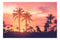Sunset Palm Trees Wallpaper