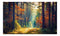 Autumn Forest Sunset Wallpaper