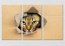 Cat Through The Board Wall Art, Set Of 3