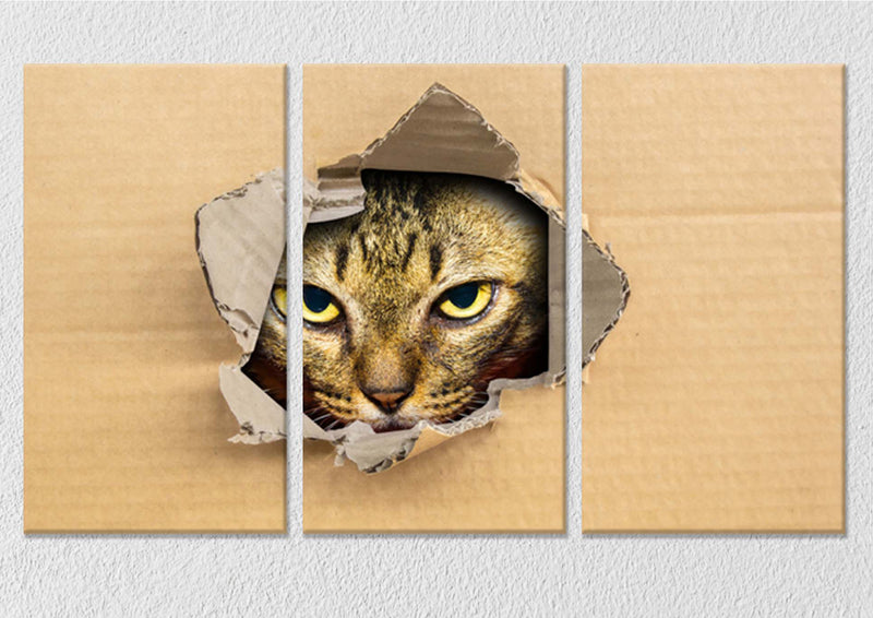 Cat Through The Board Wall Art, Set Of 3