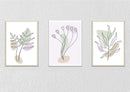 Minimal Floral Canvas Art, Set Of 3