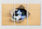 Cat Through The Board Wall Art 1, Set Of 3