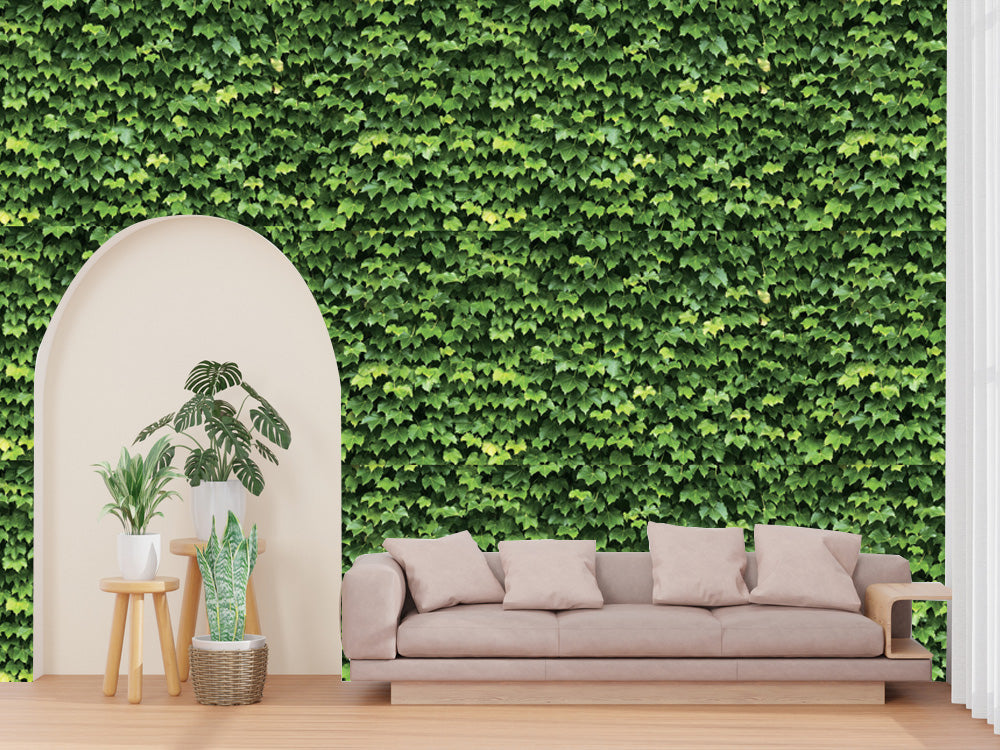Natural _ Green Leaves Wallpaper