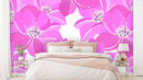 Enlarged Shades Of Pink Floral Wallpaper