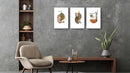 Brown Pastel, Set Of 3