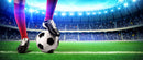 Football Arena Customised Wallpaper for wall