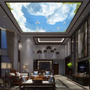 Pigeons and The Clouds Ceiling Wallpaper