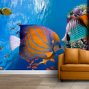 Sea Ocean Fish Coral Reef