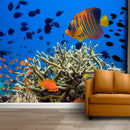 Finding Nimo Fishes undersea wallpaper