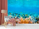 Coral Seabed Wallpaper