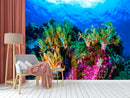 Coral Reef Plants Wallpaper