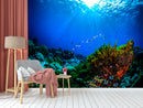 Coral Fresh Watertank Wallpaper