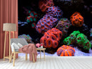 Coral Anemone Wallpaper