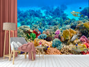 Coral Blue Submarine Wallpaper