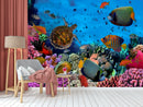 Coral Underwater World Wallpaper
