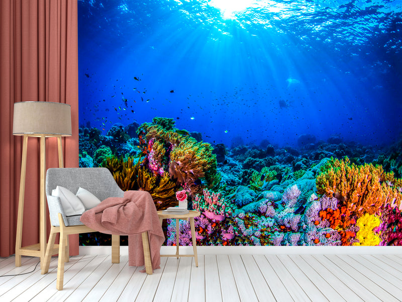 Coral Underwater Wallpaper