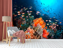 Coral Sea Wallpaper
