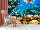 Coral Underwater Life Wallpaper