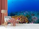 Coral Underwater Scene Wallpaper