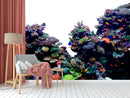 Coral Aquarium Wallpaper