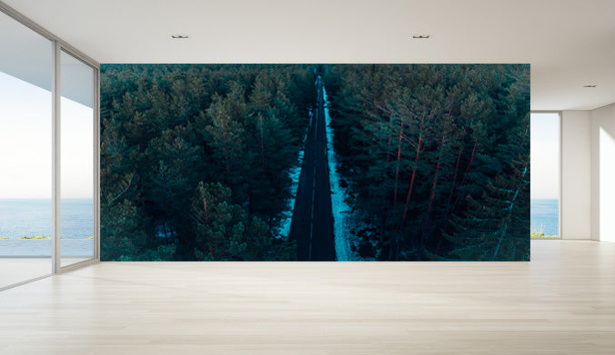 Road Between Forest Wallpaper