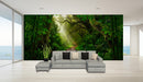 Sunlight Rain Forest Wallpaper