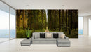 Forest Landscape Wallpaper