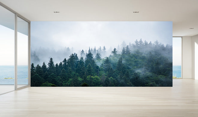 Top View Forest Wallpaper