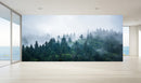 Top View Forest Wallpaper