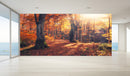 Orange Autumn Forest Wallpaper