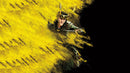 Lokki Yellow Sticker